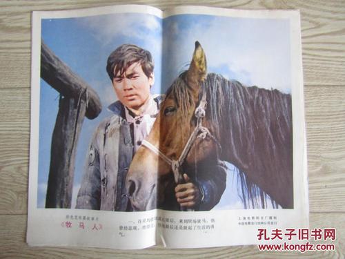 定制布莱顿大学学位证